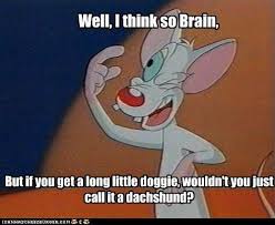 Pinky And The Brain Quotes Google Search Animaniacs Funny Pictures Funny Memes