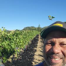 Dan Glover (@lobjetwines) • Instagram photos and videos