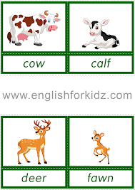 Animals And Their Babies Reading Comprehension Worksheets Reading Comprehension Animal Flashcards