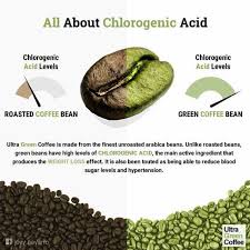 Pin By Jenny Lyn Munoz On Ultra Green Coffee With Images Green Coffee Green Coffee Bean Roasted Coffee Beans