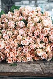 To put your mind at rest, the ghi team has tried and tested a range of floral brands to find the best for all needs and budgets. How To Choose A Grocery Store Bouquet And Make It Last Hither Thither
