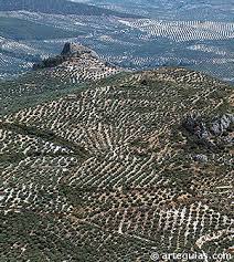 Top 10 Andalucia 10 Razones Para Un Viaje Porque Andalucia Te Quiere Viajes De Primera Spanje Portugal