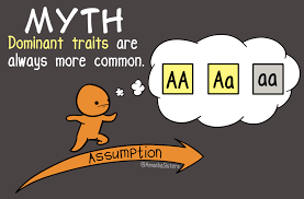 This video serves as an introduction before. Did You Know That Dominant Traits Are Not Always The Most Common Traits Catch An Example Towards The End Our Alleles And Genes Vid Teaching Meiosis Dominant