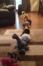 Animate Funny Photos With Voice And Movement With The Free Animate Me App Make Photos Talk To Move To A Funny Animal Pictures Cute Funny Animals Funny Animals