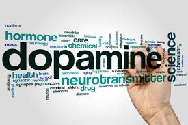 Image result for Dopamine