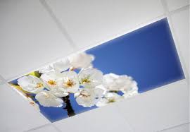 Decorative Fluorescent Light Covers Fluorescent Light Octo Lights Fluorescent Light Covers Decorative Fluorescent Light Covers Fluorescent Light