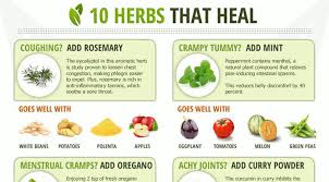 Benefits Of Pickle Juice Hrf Pickle Juice Benefits Culinary Herbs Herbs