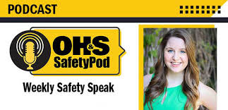 Fully online, interactive course with audio voiceover. Managing The Safety Of Portable Electrical Appliances Occupational Health Safety
