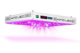 Maybe you would like to learn more about one of these? Kind K5 Xl1000 Led Grow Light Review Is It Worth It
