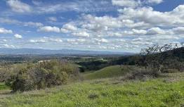 Plein Air - Rancho San Antonio, Cupertino