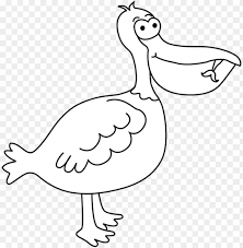 Check spelling or type a new query. Fish Eating Beak Bird Png Image With Transparent Background Toppng