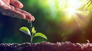 World environment day is observed on june 5 every year. World Environment Day General English Magazine British Council