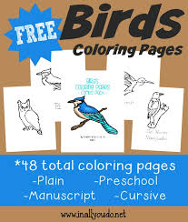 From the brilliant blue of an indigo bunting to the scarlet red of a summer tanager, coloring your own field guide is the most. Types Of Birds Coloring Pages Emergent Readers In All You Do
