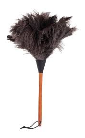 Birds Of The Same Feather Make A Good Feather Duster Ostrich Feather Duster Feather Duster Ostrich Feathers Ostrich
