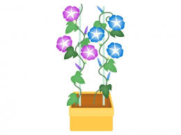 「朝顔 イラスト フリー」の画像検索結果