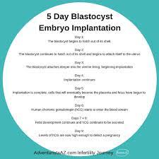 Pin On Fertility Infertility Journey