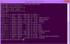 Touch and go versus paused bench press. Touch Command In Linux With Examples Geeksforgeeks