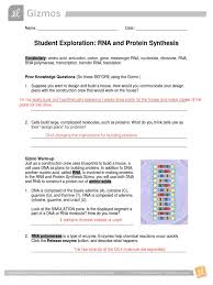 In the dna analysis gizmo™, you will analyze partial dna sequences of frogs. Rna Protein Synthesis Translation Biology Rna