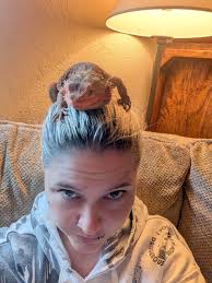 My Lazarus, hanging out in his most favorite spot 💕