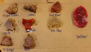 Our Life Uncommon Science Projects Health Fair Science Fair Projects