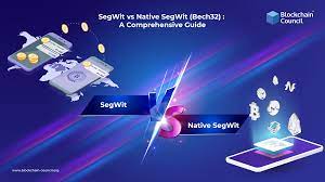 SegWit vs Native SegWit (Bech32) : A Comprehensive Guide - Blockchain  Council
