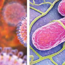 Virus im stuhl • oft mehrere patienten auf einer station betroffen • nosokomiale übertragung erscheint hoch. Adenovirus F 40 41 Mikrooek De