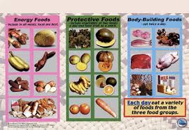 Check out below for information on foods that can help raise good. H5p Resource Id 1857 Librestudio