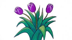 Kumpulan sketsa tari lili / kumpulan beragam gambar tarian daerah : Sketsa Bunga Lili