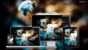 خلفية زهور زرقاء شتوية hd معارض أجمل الخلفيات بالعالم hd wallpapers blue wallpapers wintry wallpaper