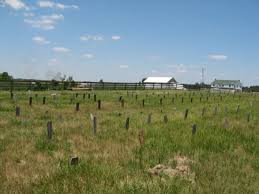 Adams County, Indiana