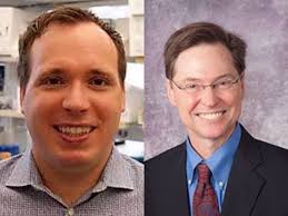 2020 Pilot Grants formed 4 new collaborations.