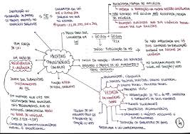 Get in touch with luana araujo (@luanaaraujo244) — 100 answers, 316 likes. Medidas Provisorias Resumapas