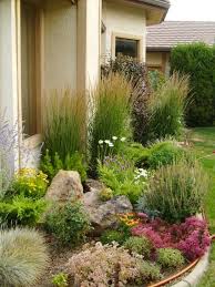 These front yard landscaping ideas are great and help you to transform the house's curb appeal. 32 Cactus Landscape Ideas Cactus Garden Succulents Garden Succulents