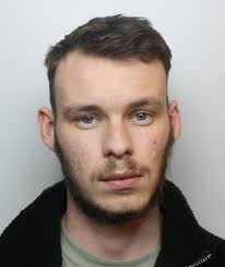 Driver jailed after leaving two families in hospital when dangerously  overtaking