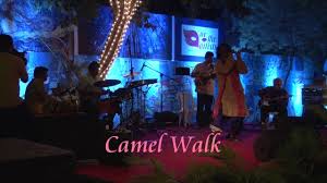 Record and instantly share video messages from your browser. Milind Date Camel Walk Live Youtube