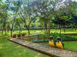 Sedangkan untuk harga tiket per wahana seperti kolam renang rp20 ribu, kereta rp10 ribu, flying fox rp15 ribu, tree top rp15 ribu. Nirwana Pinggir Tol Taman Cattleya Anandastoon