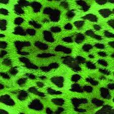 Fur And Animal Print Backgrounds And Wallpapers Animal Print Wallpaper Animal Print Background Leopard Print Wallpaper