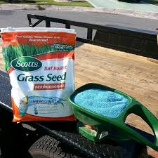 50 benih lihat foto untuk mengetahui seperti apa rumputnya. Jual Benih Rumput Scotts Jepang Dan Gajah Mini 100 Gram Tempatniaga