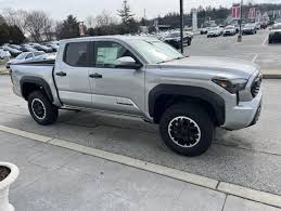 Image result for Celestial Silver 2024 TX