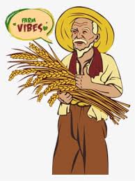 Apakah anda mencari gambar padi bidang png? Farmer Png Farmvibes Gambar Tangan Memegang Padi Transparent Png 308x411 Free Download On Nicepng