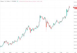 Some of the bitcoins in circulation are believed to be lost forever or unspendable, for example because of lost passwords, wrong output addresses or mistakes in the output scripts. Bitcoin Hits Its Highest Since January 2018