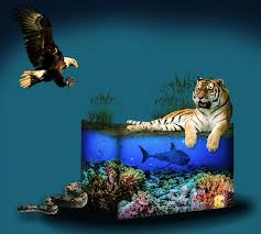 Tutorial melukis elang vs harimau youtube. Ular Boa Kertas Dinding Foto Gratis Di Pixabay