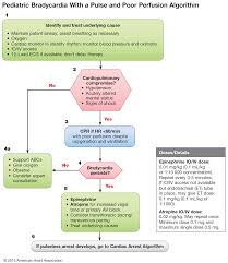 Algorithms for advanced cardiac life support 2019. Bls Class Resources Smrt Indiana