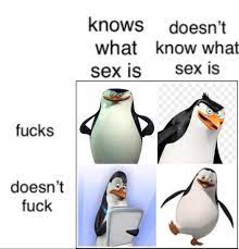 Your daily dose of fun! Penguins Of Madagascar Knows What Sex Is Table Knows What Sex Is Table Know Your Meme