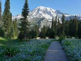 Check spelling or type a new query. Short Seattle Area Hikes That Are Good For Kids Seattle S Child