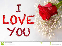 , love roses wallpaper wallpapers for free download about 1600×1200. 1 821 I Love You Rose Photos Free Royalty Free Stock Photos From Dreamstime