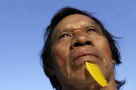 Illegal Logging in Peru Takes a Deadly Turn