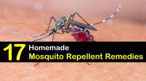 17 Simple Diy Mosquito Repellent Remedies