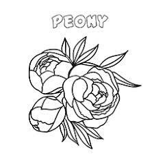 By best coloring pagesjune 13th 2013. Top 47 Free Printable Flowers Coloring Pages Online