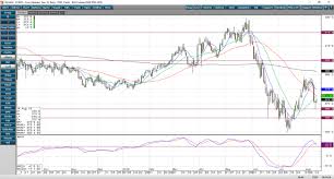 Corn Futures Have Supportive Fundamentals Rjo Futures